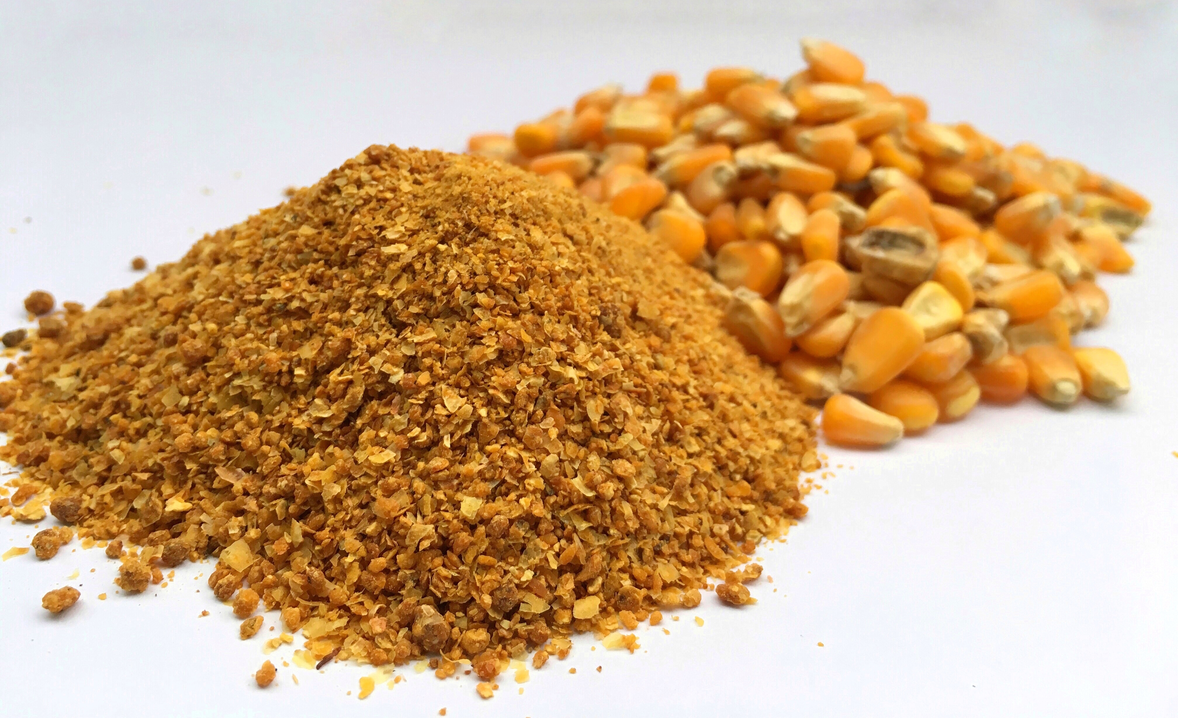 Pile of corn flakes and corn